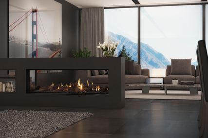 Frameless gas fireplaces – DS Series